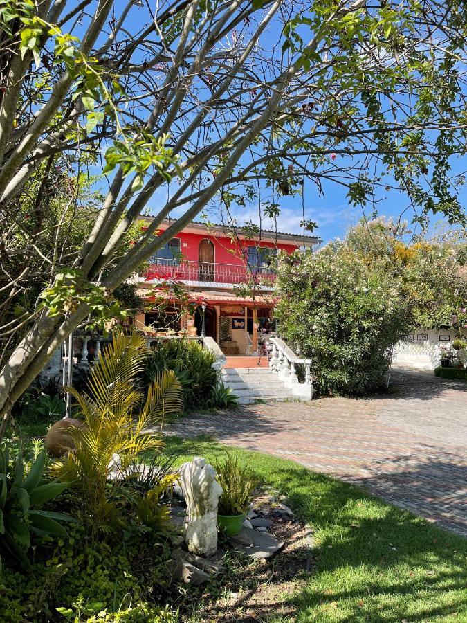 Casa Elalu Lejlighed Quito Eksteriør billede
